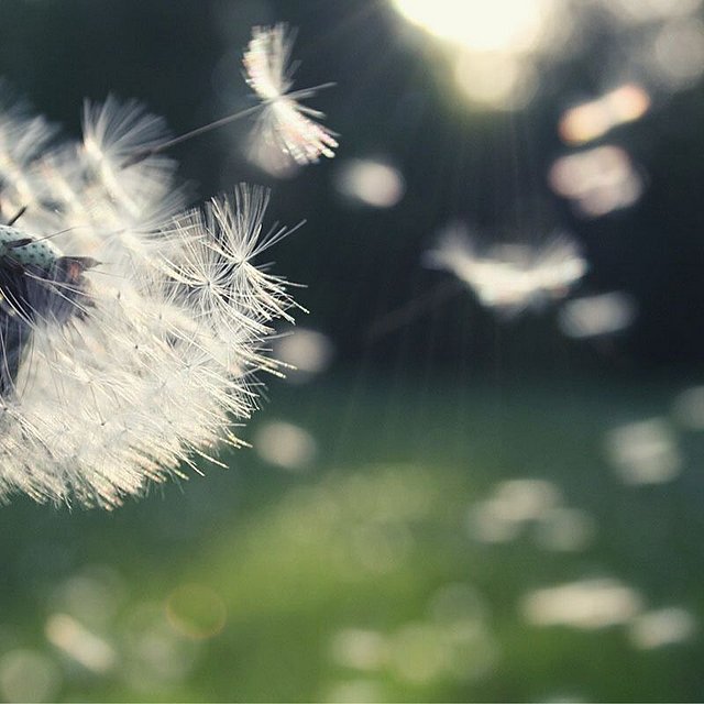 Nachhaltige Entwicklung an Hochschulen