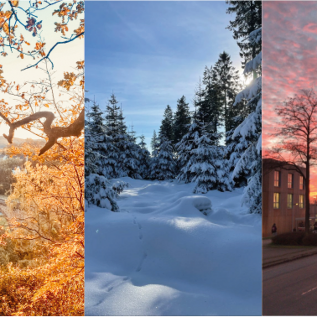 Lieblingsorte in Witten & Umgebung