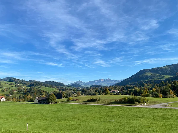 Bergpanorama mit grüner Wiese und blauem Himmel.