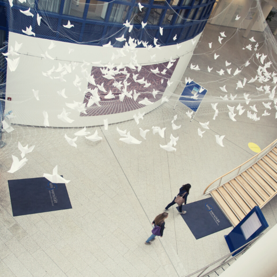 Why study at Witten/Herdecke University?