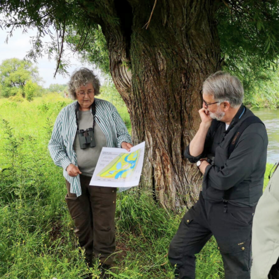 Exkursion erkundet Erfolgsfaktoren der Lippe-Renaturierung
